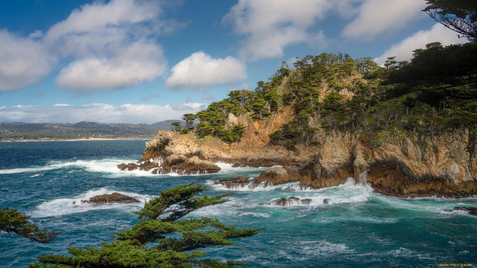 cypress cove at point lobos, california, , , cypress, cove, at, point, lobos